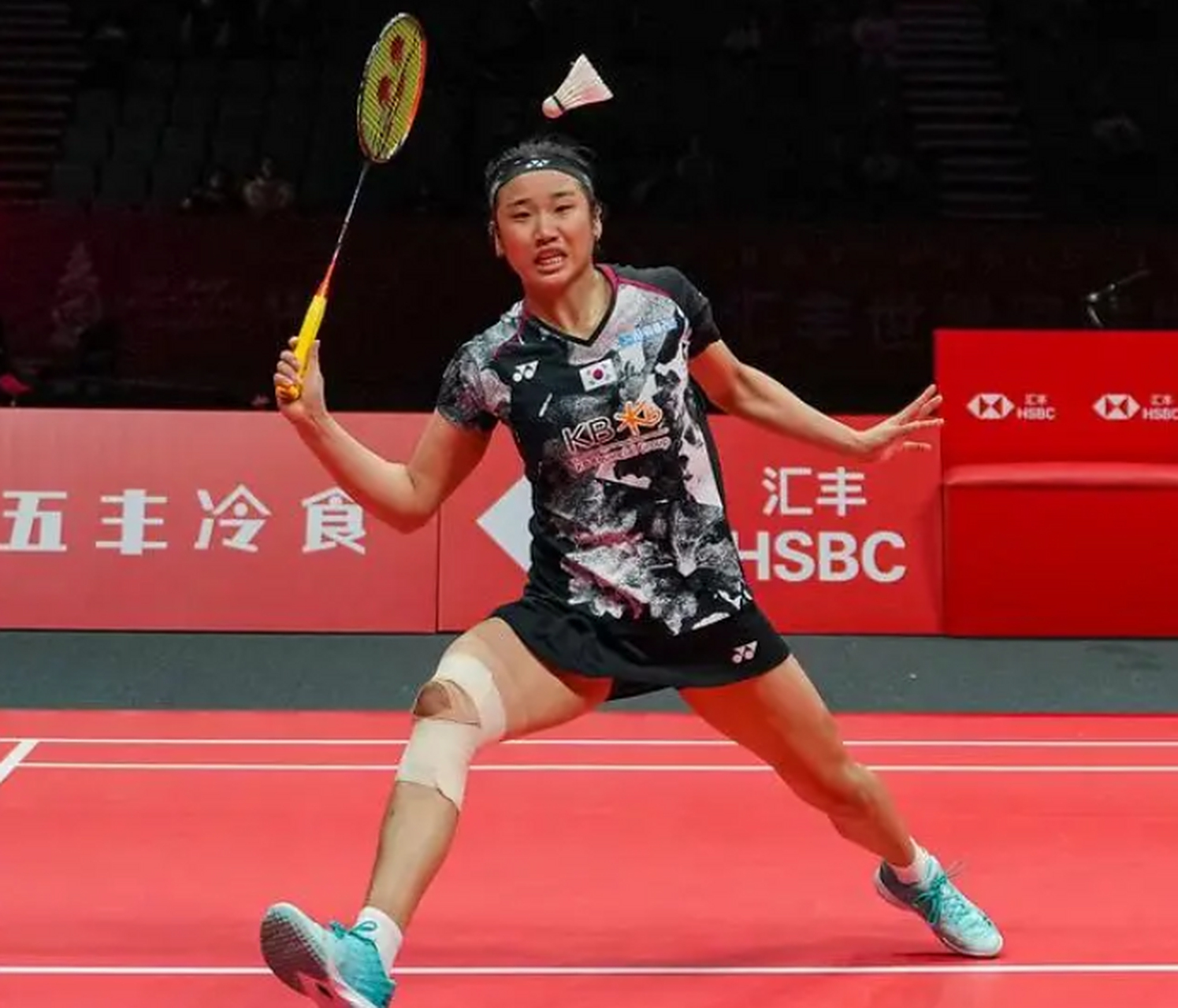 关于马来西亚羽毛球队血洗日本羽毛球队，戴资颖绝境逆转的信息