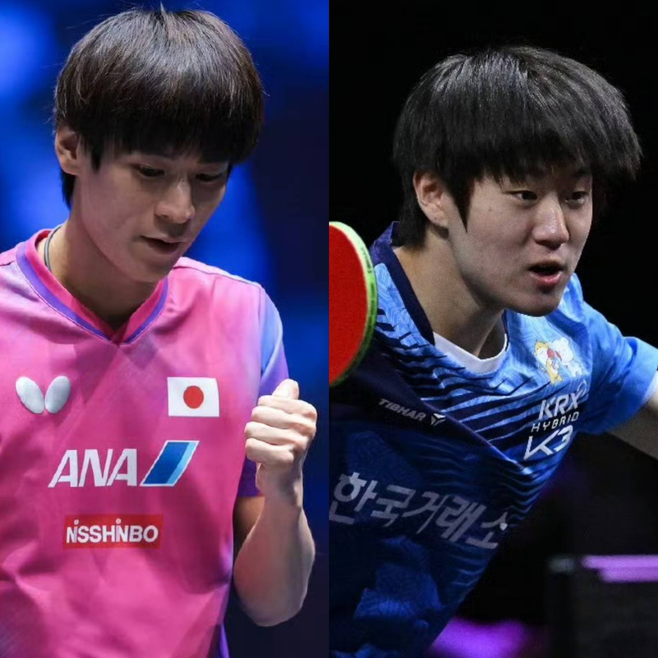 波兰乒乓球队完胜中国乒乓球队，张本智和高光表现的简单介绍