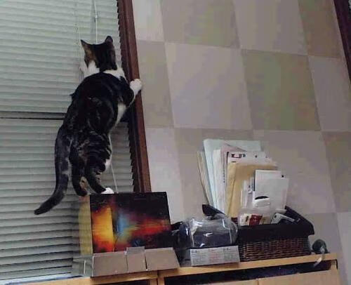 魔术火力压制掘金，杰伦·格林成为关键先生