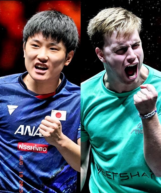 奥地利队翻盘葡萄牙队，张本智和惊艳四座的简单介绍