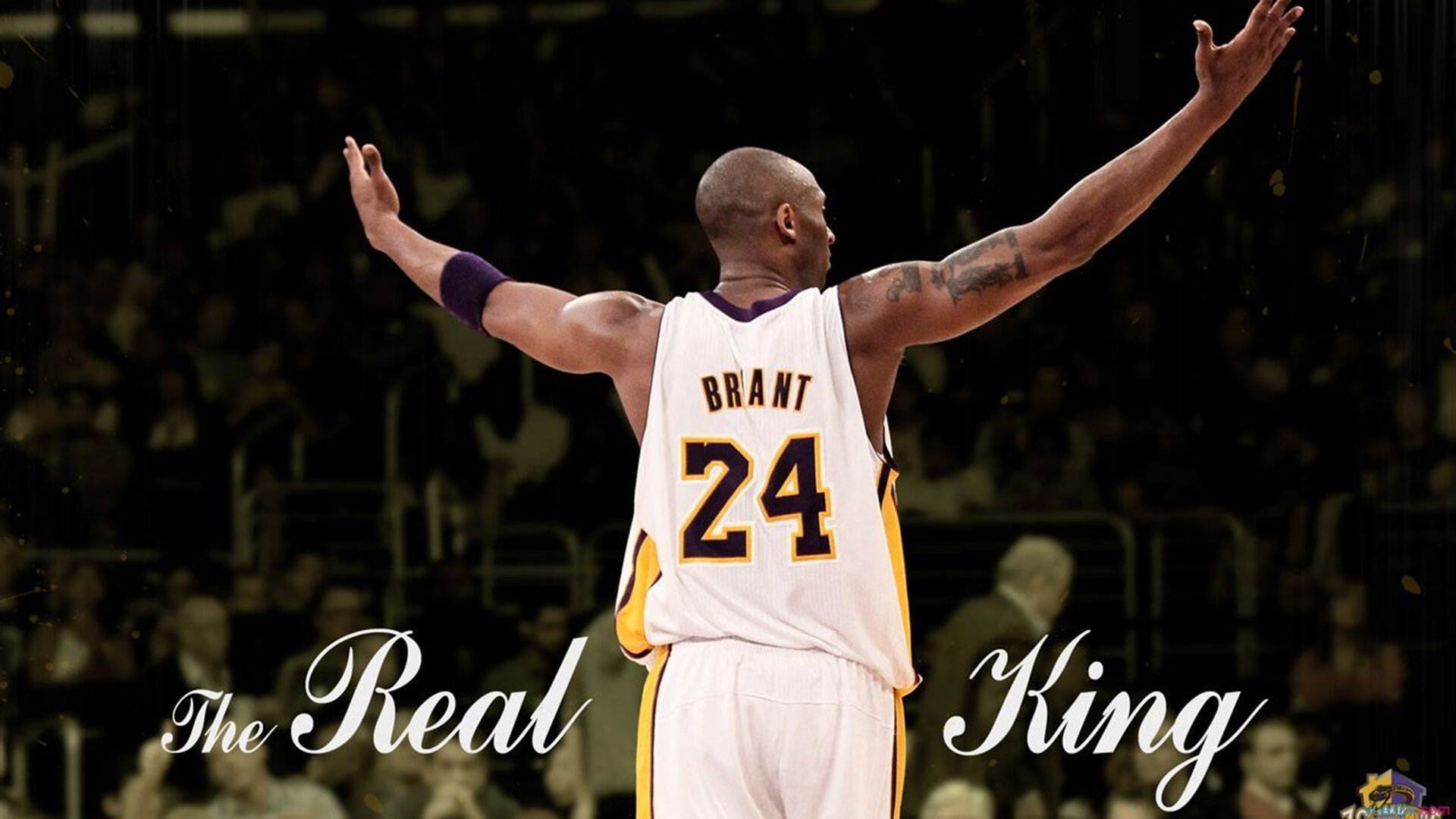 PG中国登录入口-双线传奇，猛龙决胜局封王北境，锡安世界杯接管新时代