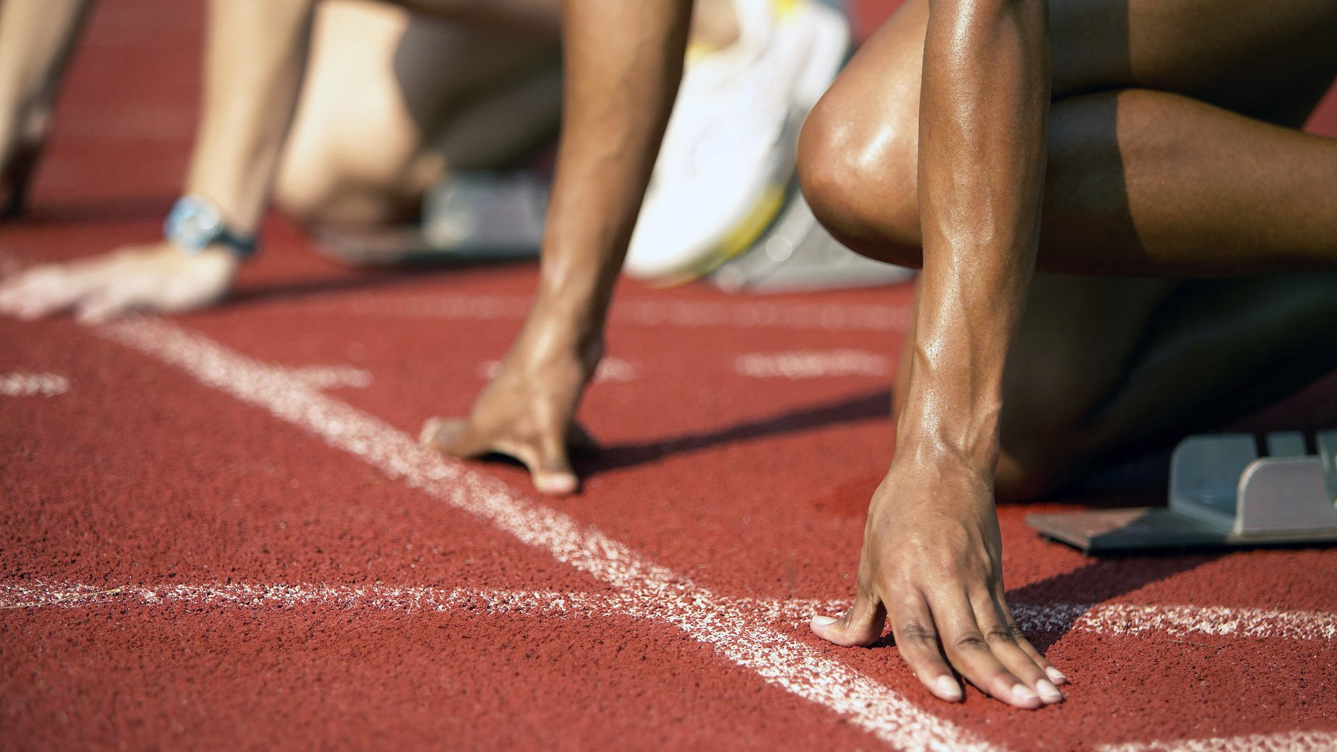 蛰伏与重生,莫兰特关键一击,黄蜂斩落公牛的启示录